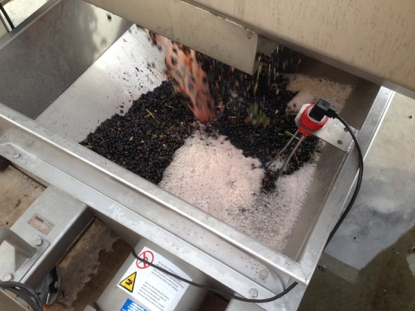 progressive_cavity_wine_pump_kiber_nte_photo_1 - 556183 edited.jpg